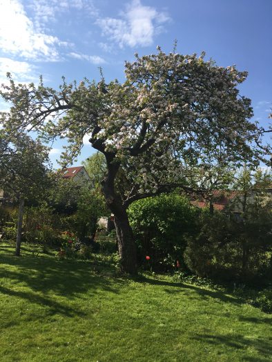 Warten im Garten auf den Gitarrenunterricht